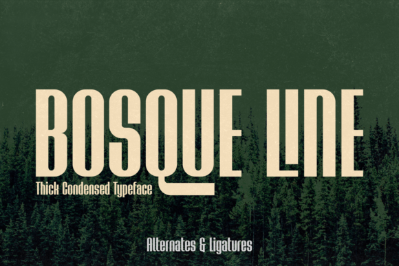 Bosque Line Display Font for Modern Editorial Design