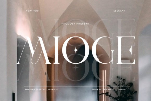 Discover Mioge for Modern Web Design and Branding