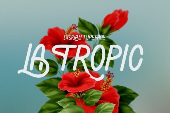 La Tropic: The Display Font That Elevates Your Campaigns