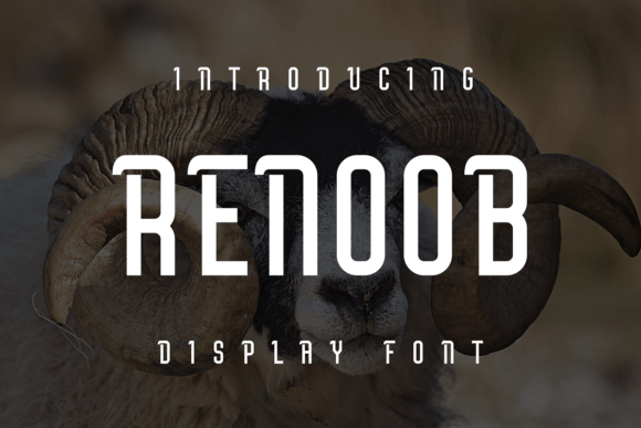Renoob Display Font for Creative Product Branding